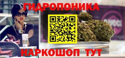 крисы Янаул