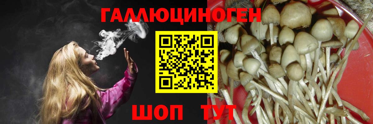 Баксан  Галлюциногенные грибы прущие грибы  Галлюциногенные грибы Cubensis  Вход с VPN 