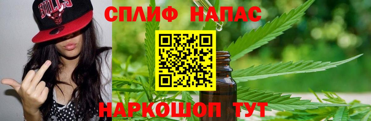 Бошки Шишки планчик Баксан